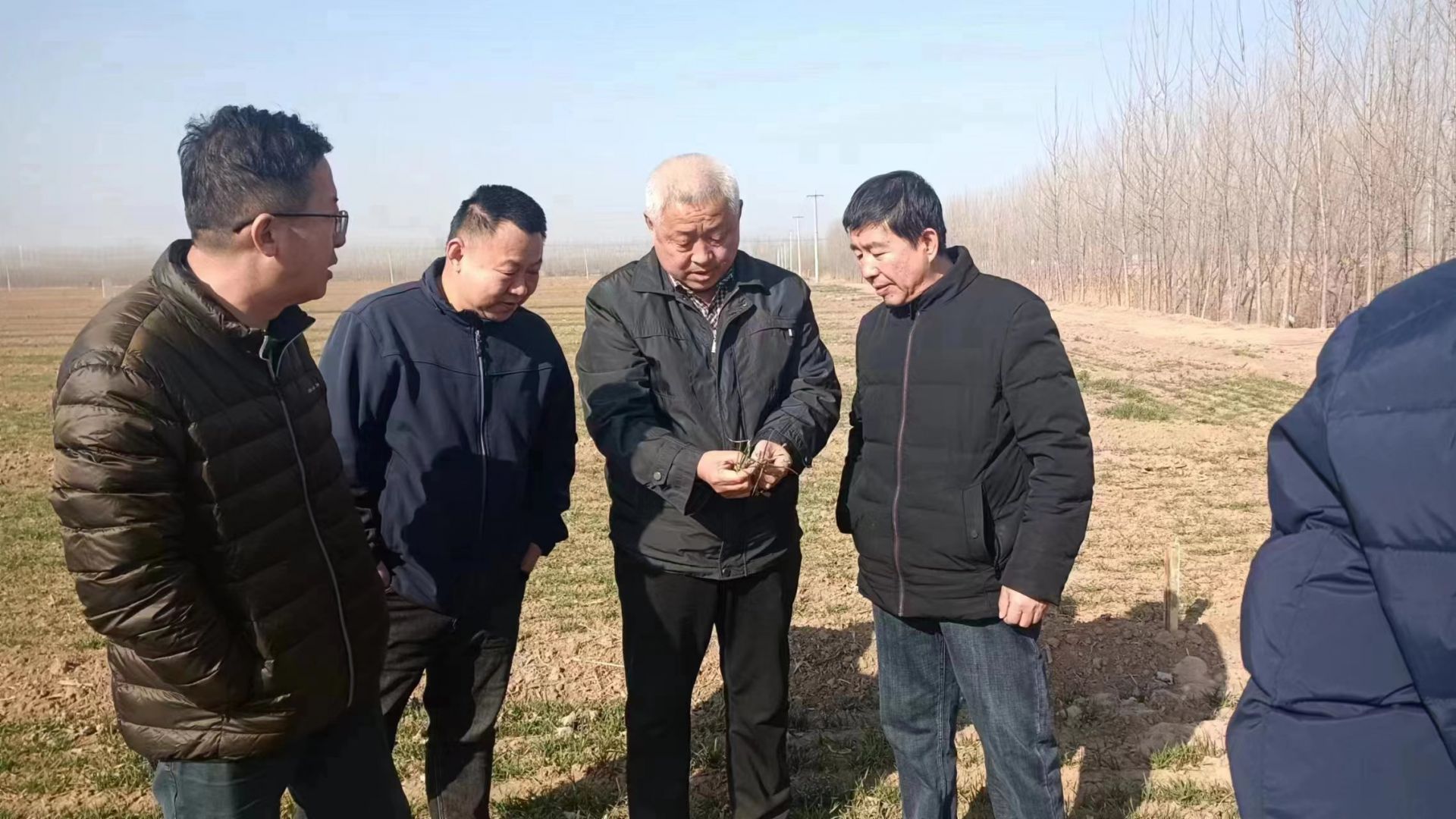 1678240818644216.jpeg 1678240818644216.jpeg