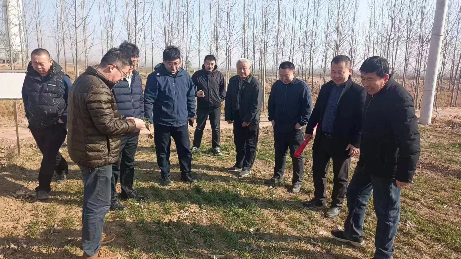 1678240818813107.jpeg 1678240818813107.jpeg