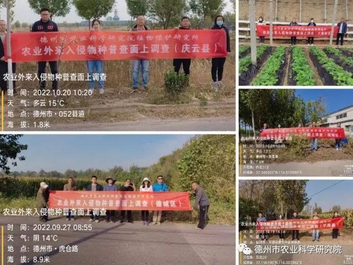 1678246819993787.jpeg 1678246819993787.jpeg