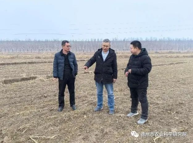 1678261448250991.jpeg 1678261448250991.jpeg