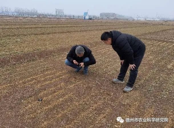 1678261448795258.jpeg 1678261448795258.jpeg