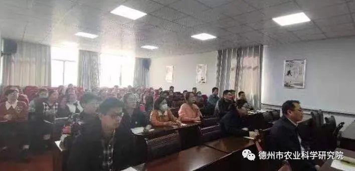 1678266241415385.jpeg 1678266241415385.jpeg