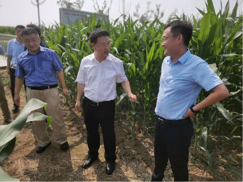 1678782468191187.png 1678782468191187.png