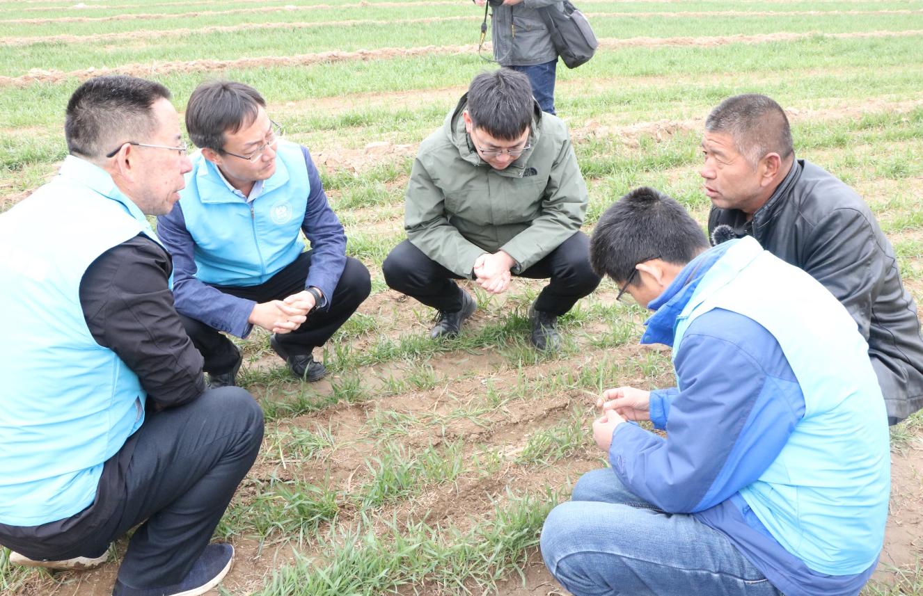 1679022110494826.jpg 1679022110494826.jpg