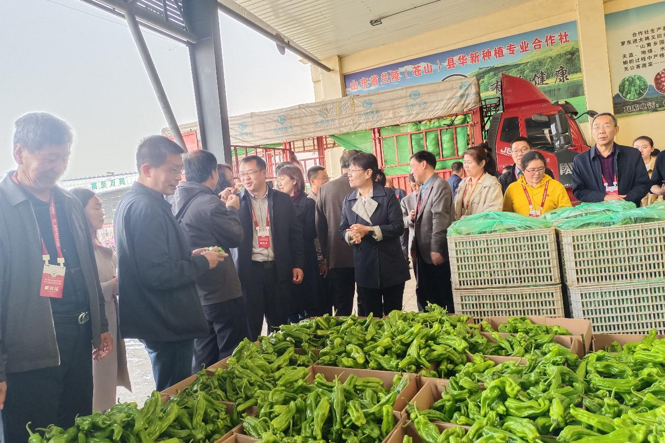 1681722139946727.jpg 1681722139946727.jpg