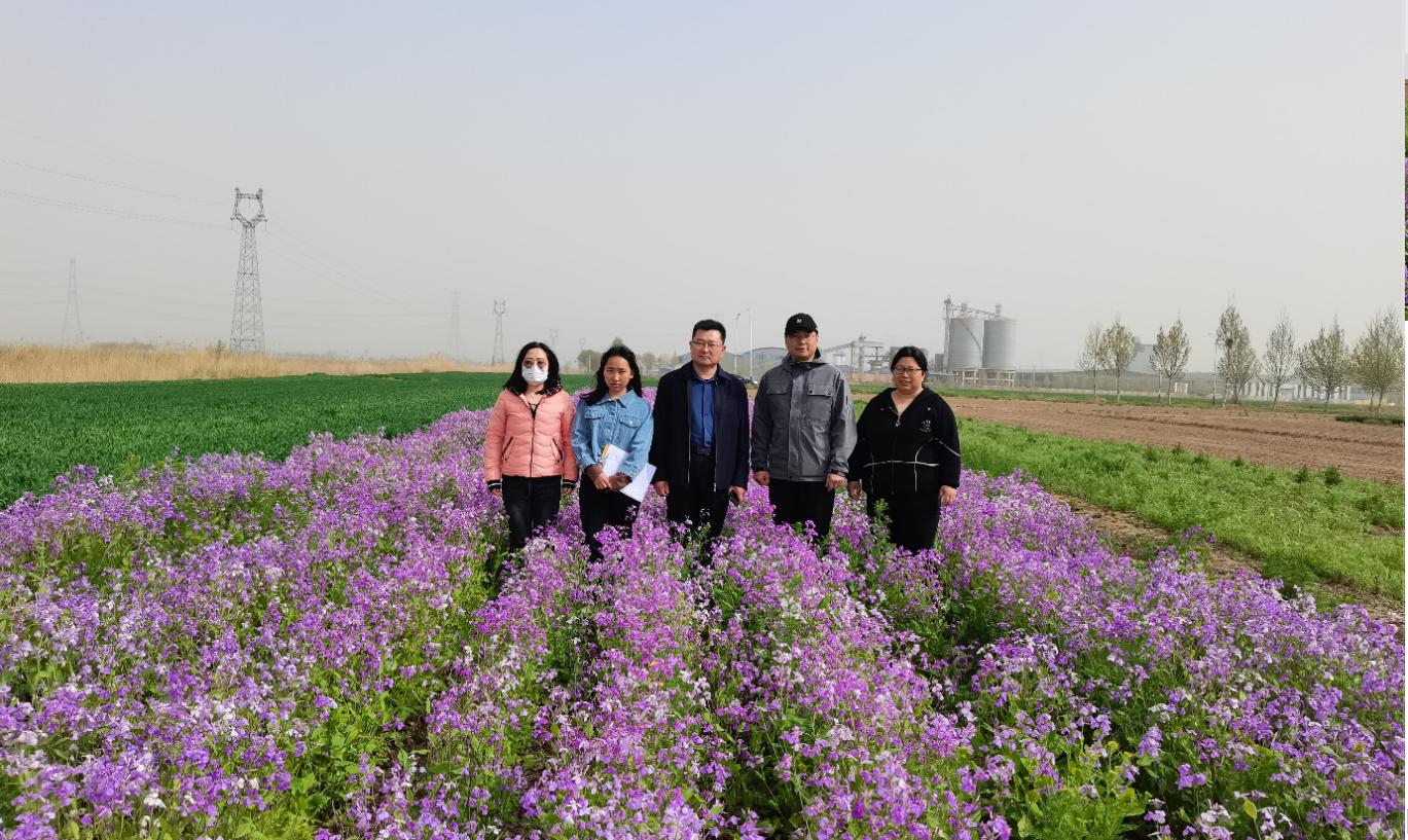 1681870523848643.jpg 1681870523848643.jpg