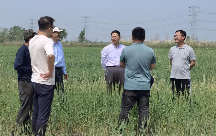 1683170879701453.jpg 1683170879701453.jpg