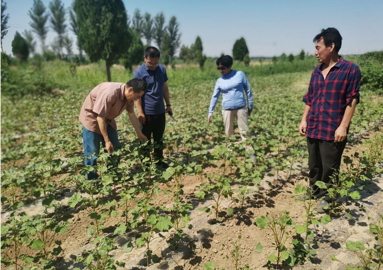 1686882982942144.jpg 1686882982942144.jpg