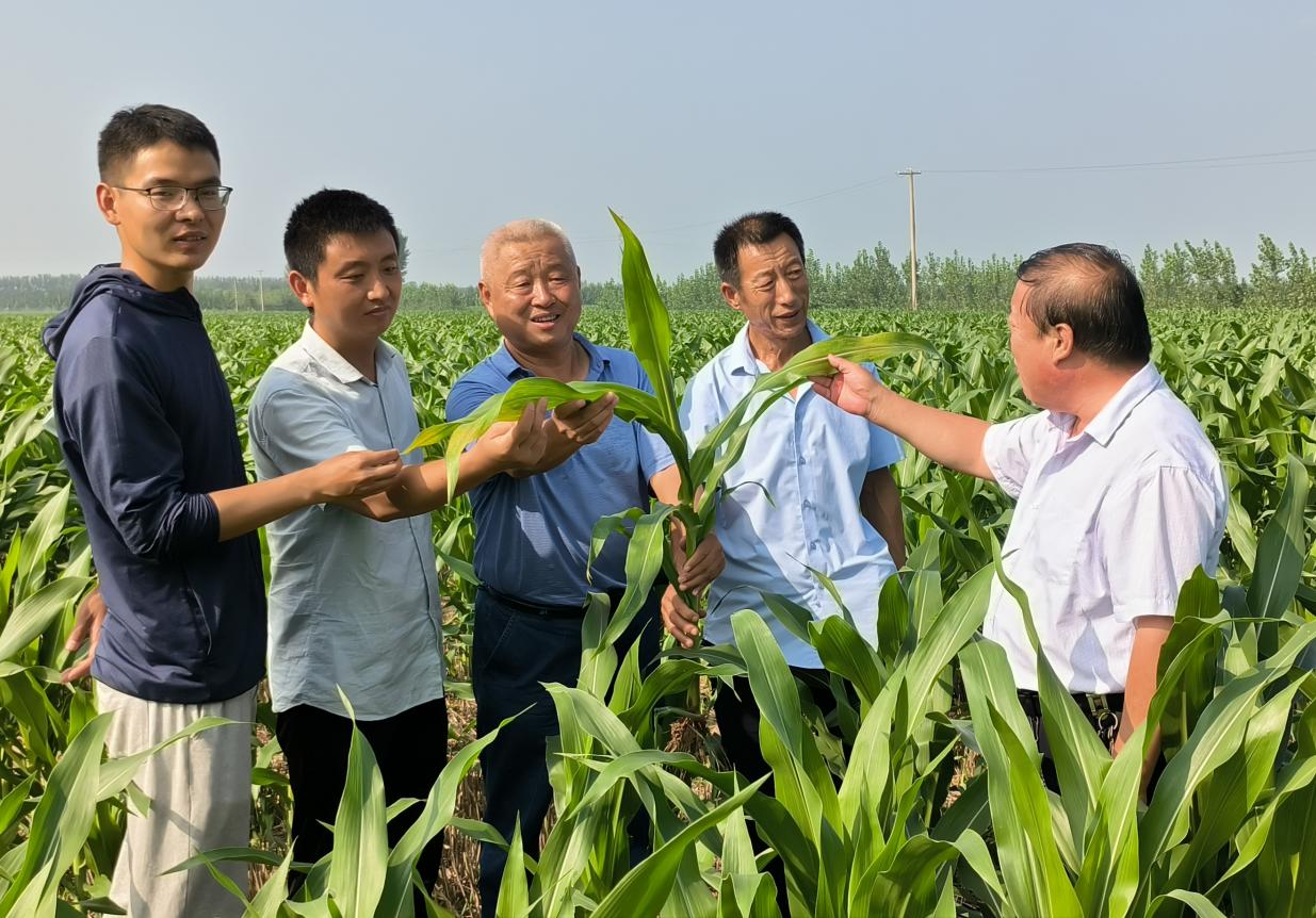 1688714666733612.jpg 1688714666733612.jpg