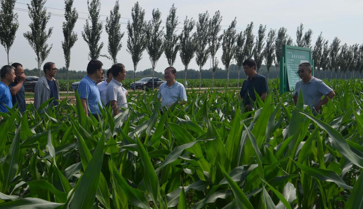 1690438499639972.jpg 1690438499639972.jpg