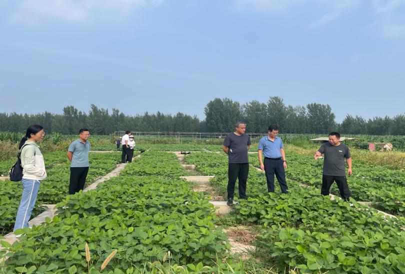 1690859119443579.jpg 1690859119443579.jpg