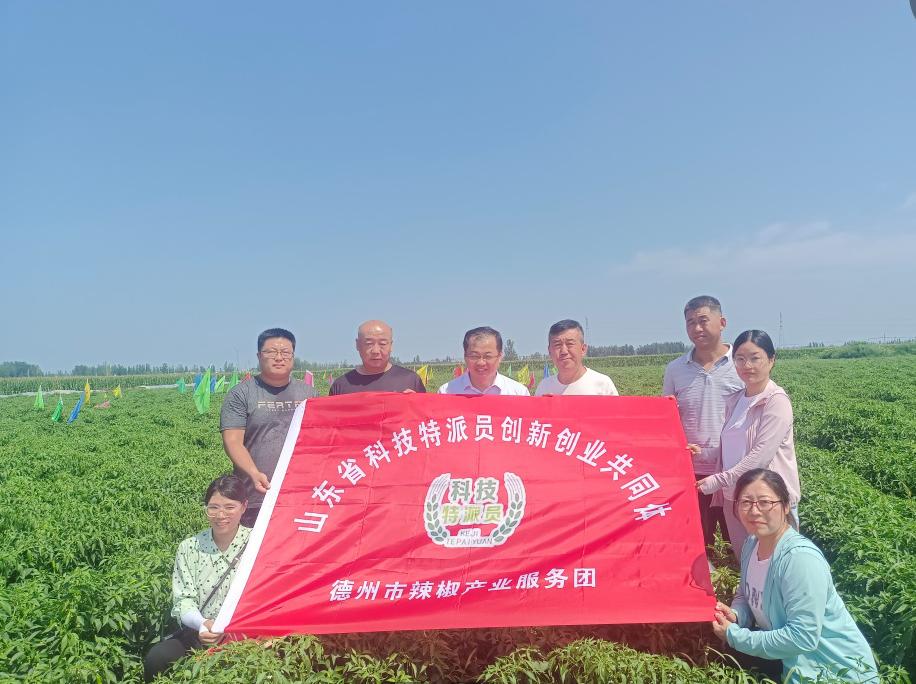 1691656512627864.jpg 1691656512627864.jpg