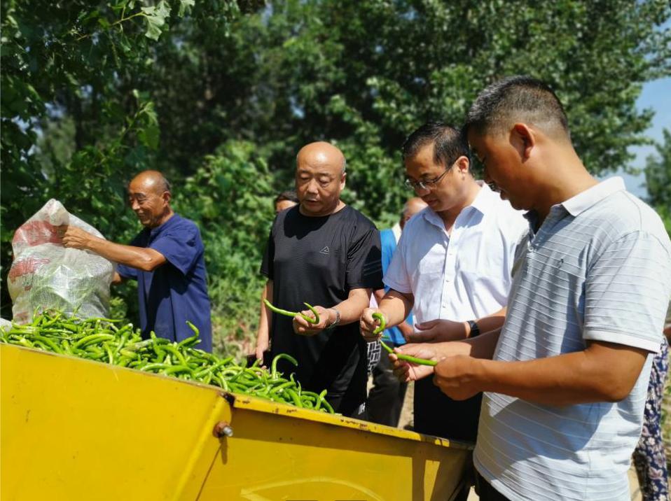 1691662020412669.jpg 1691662020412669.jpg