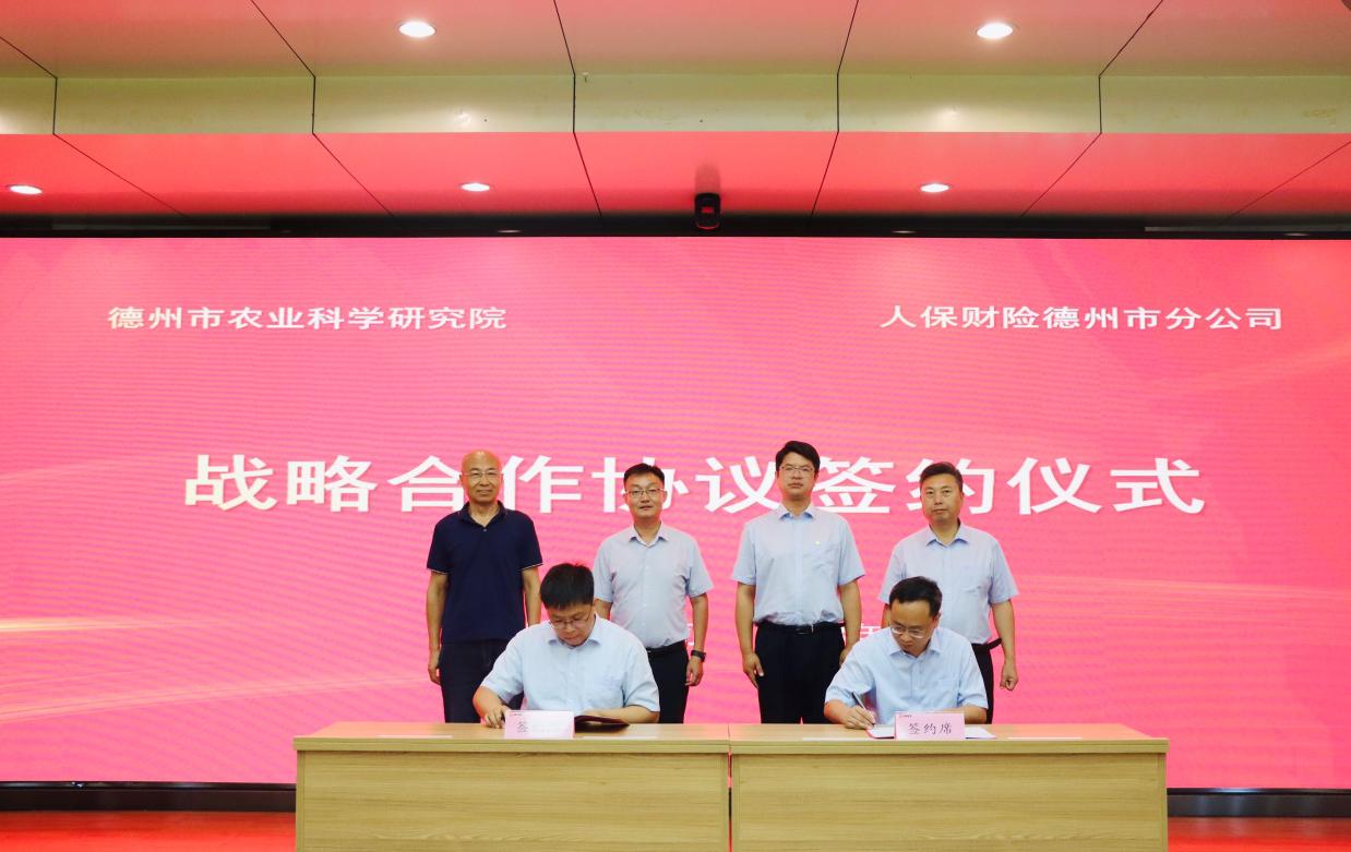 1692353807986984.jpg 1692353807986984.jpg