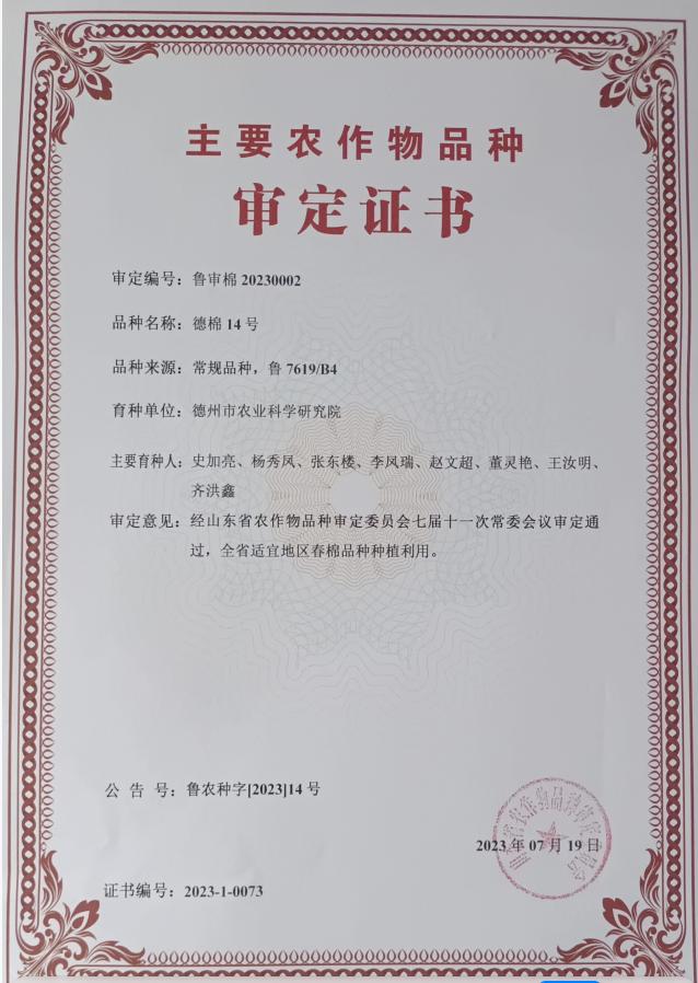 1693882823258927.jpg 1693882823258927.jpg