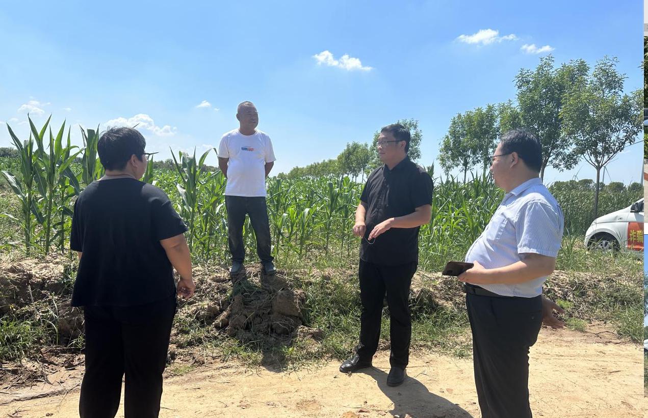 1693985928932179.jpg 1693985928932179.jpg