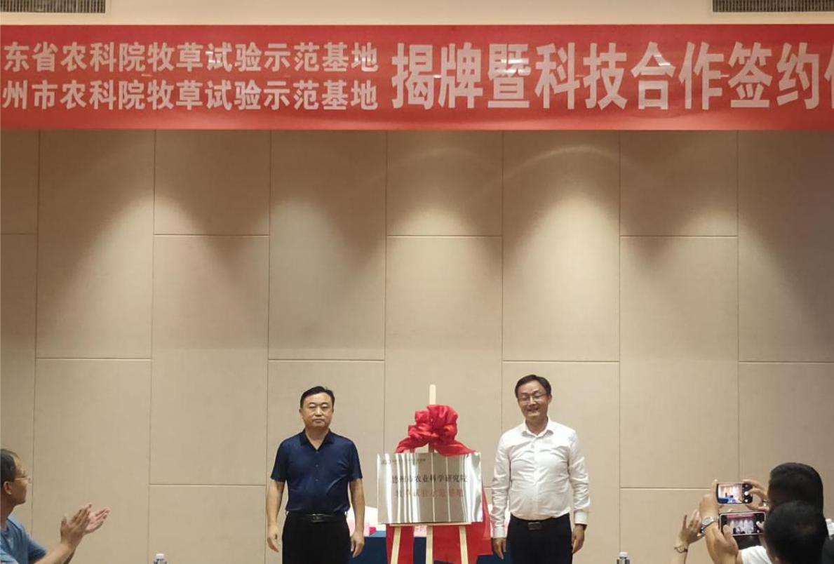 1695348135899091.jpg 1695348135899091.jpg