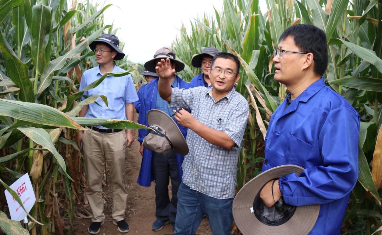 1695629568491399.jpg 1695629568491399.jpg