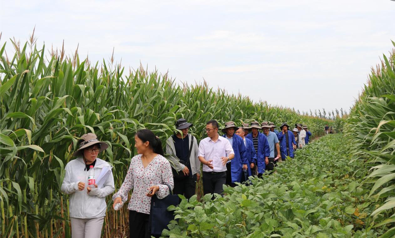 1695629602984011.jpg 1695629602984011.jpg