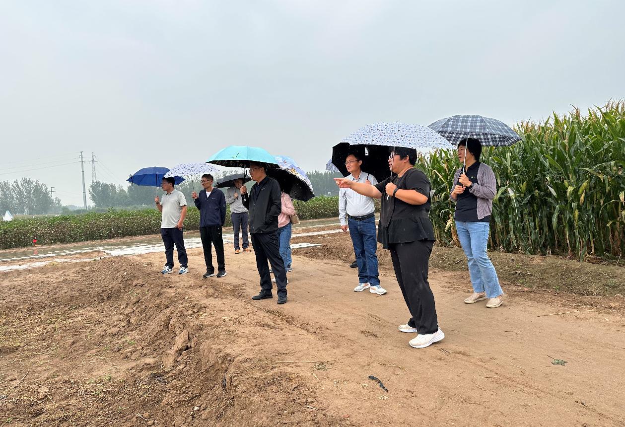 1695717579319520.jpg 1695717579319520.jpg