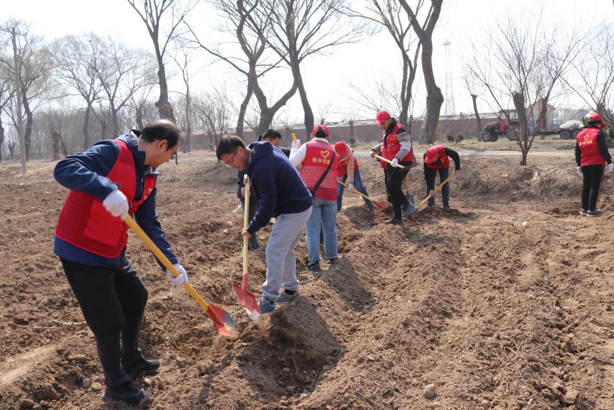 1710750159390039.jpg 1710750159390039.jpg