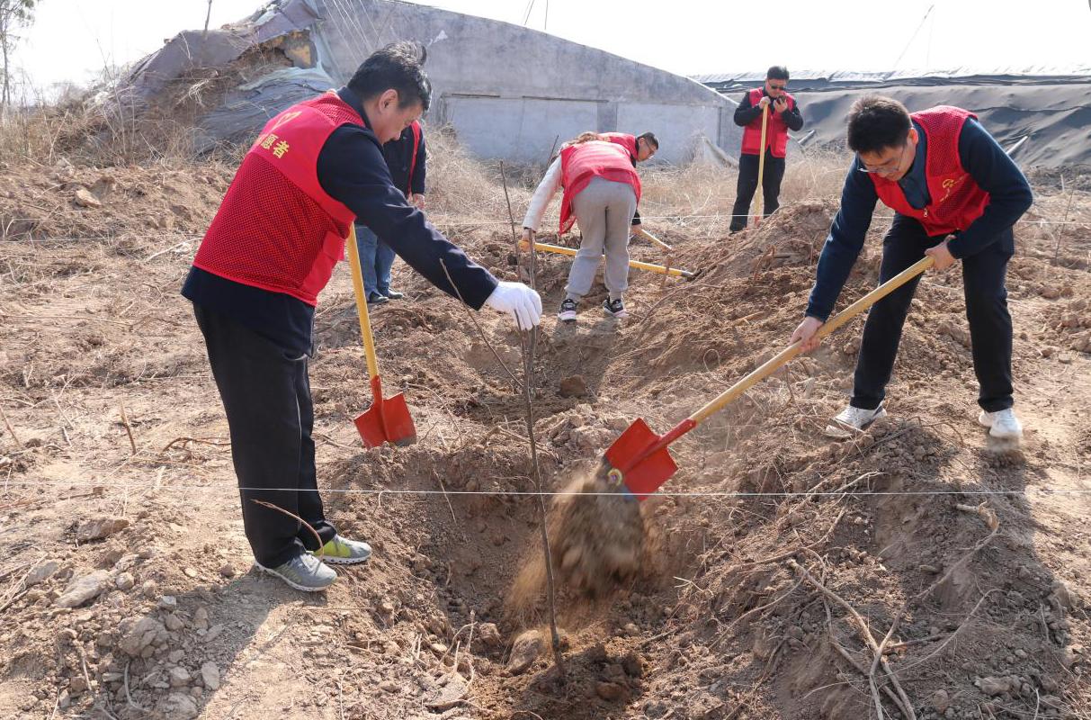 1710750192711604.jpg 1710750192711604.jpg