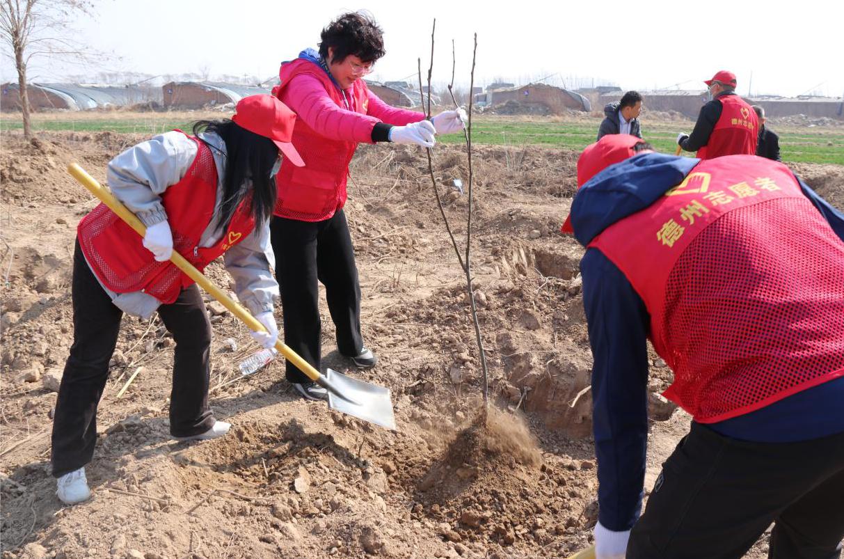 1710750236358502.jpg 1710750236358502.jpg