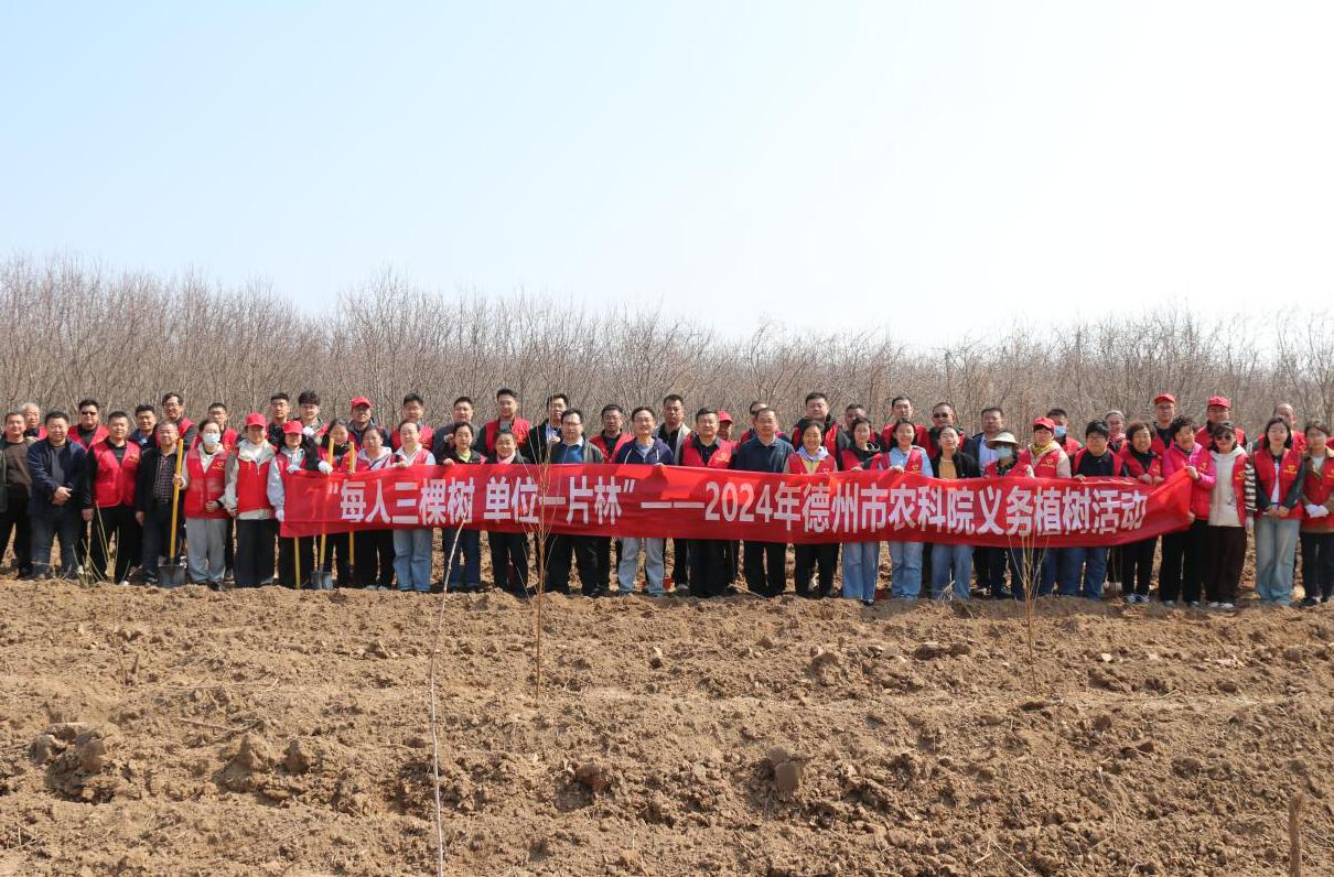 1710750272921699.jpg 1710750272921699.jpg