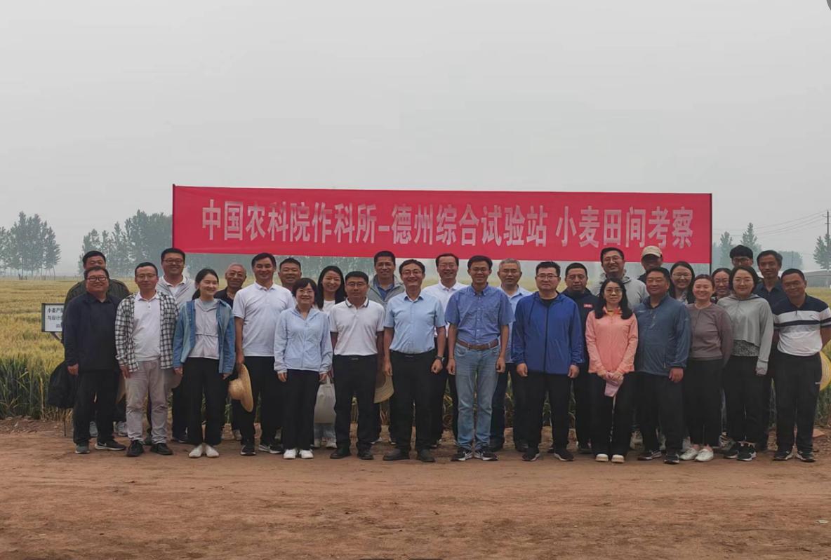 1717146373790448.jpg 1717146373790448.jpg