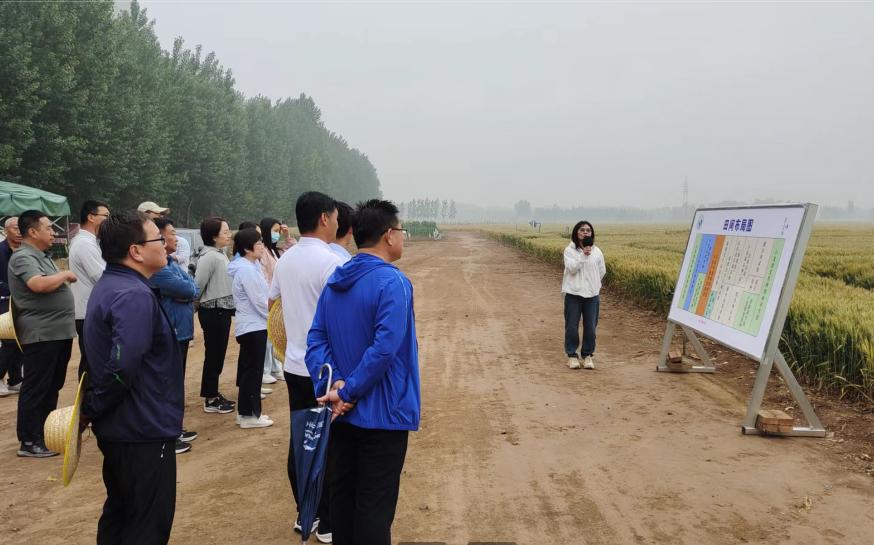 1717146500634175.jpg 1717146500634175.jpg