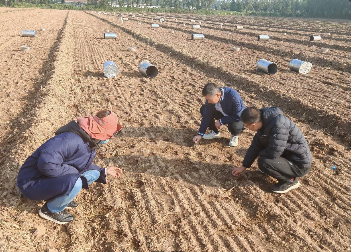 1730080794883730.jpg 1730080794883730.jpg