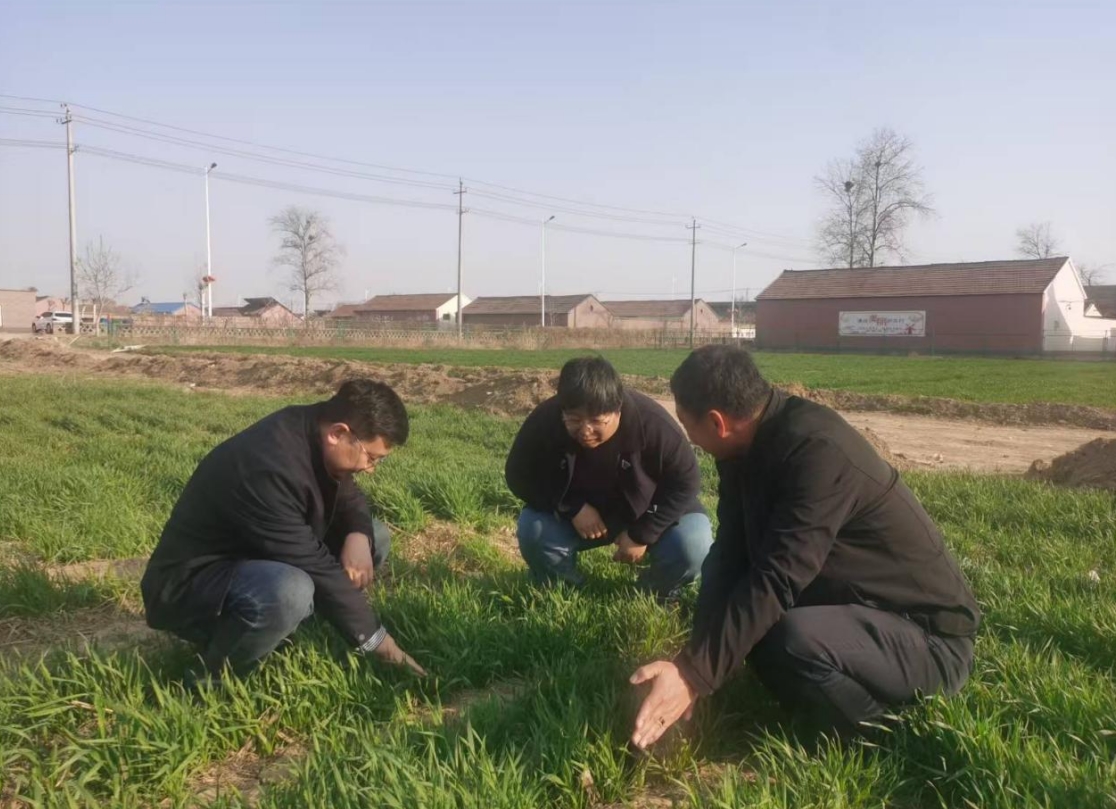 1744083433968017.jpg 1744083433968017.jpg