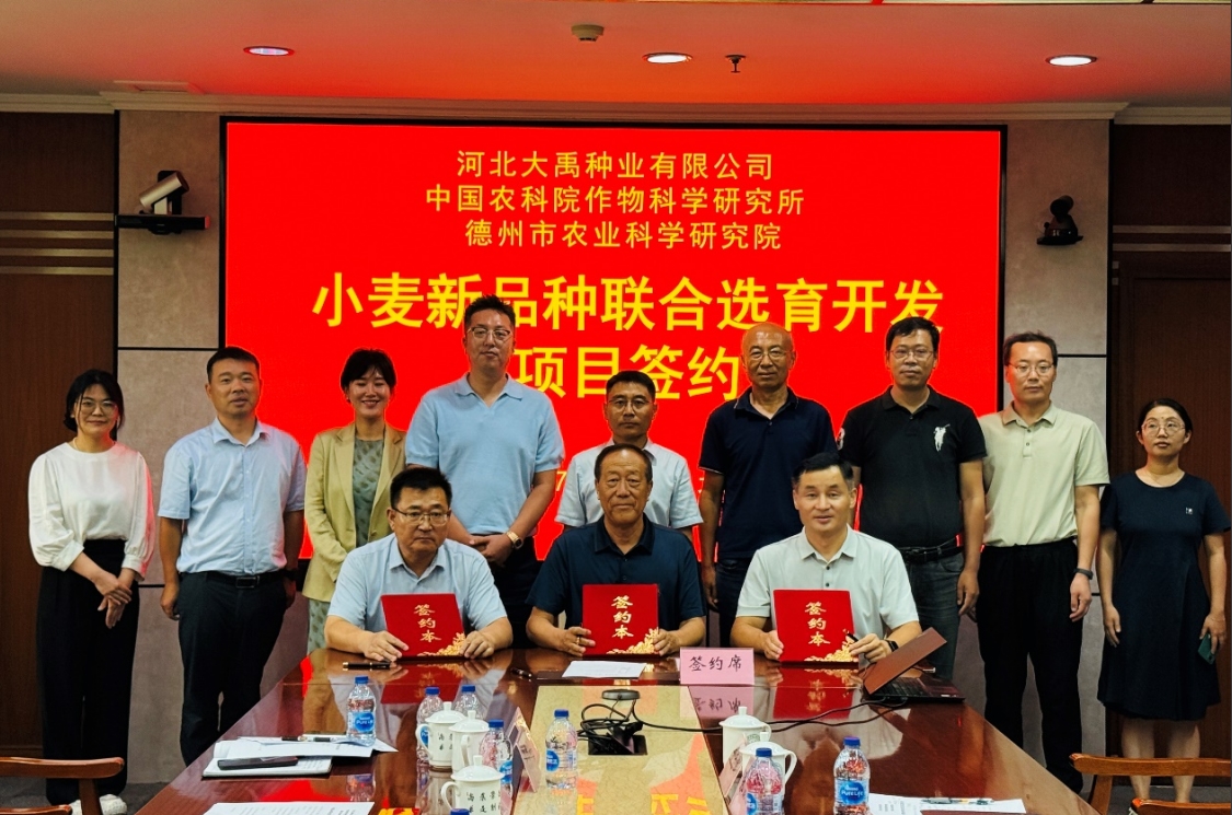 1753428060976564.jpg 1753428060976564.jpg