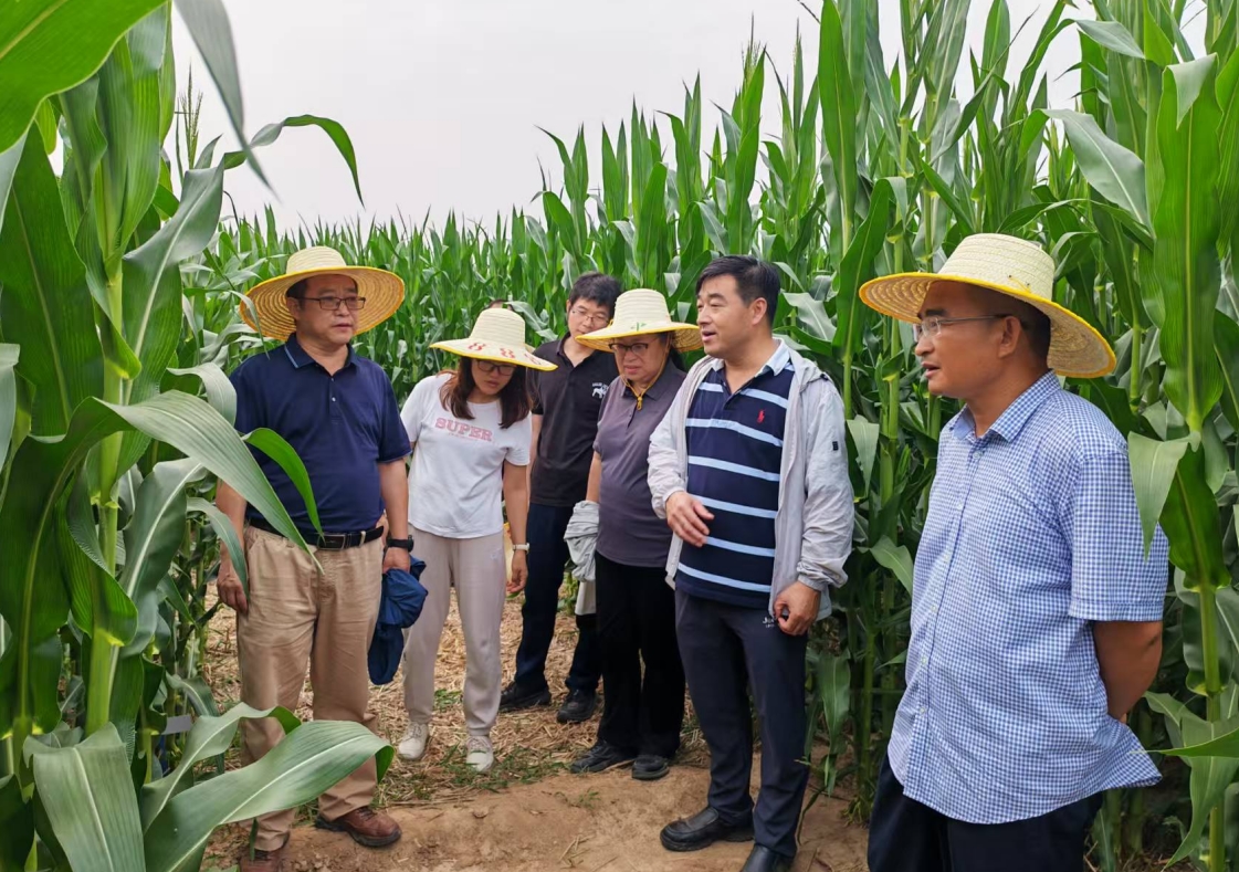 1754561803942742.jpg 1754561803942742.jpg