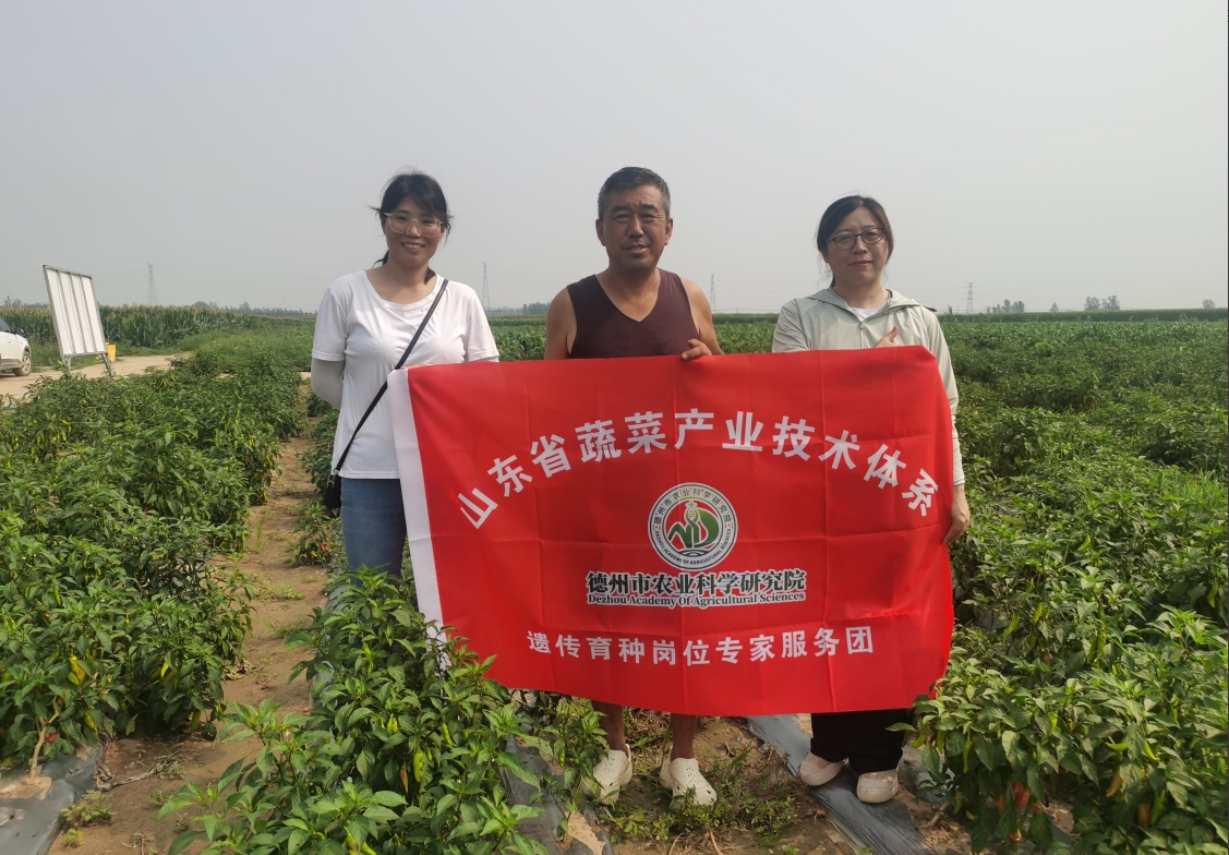 1754877501958204.jpg 1754877501958204.jpg