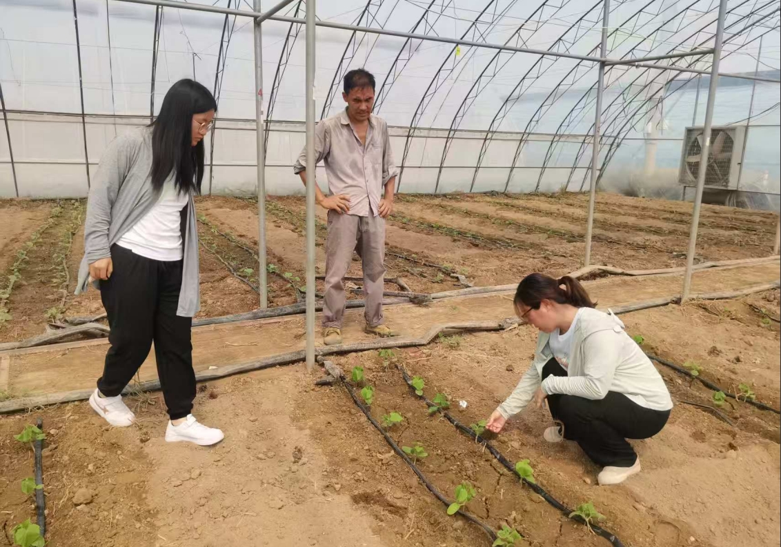 1754877528926209.jpg 1754877528926209.jpg