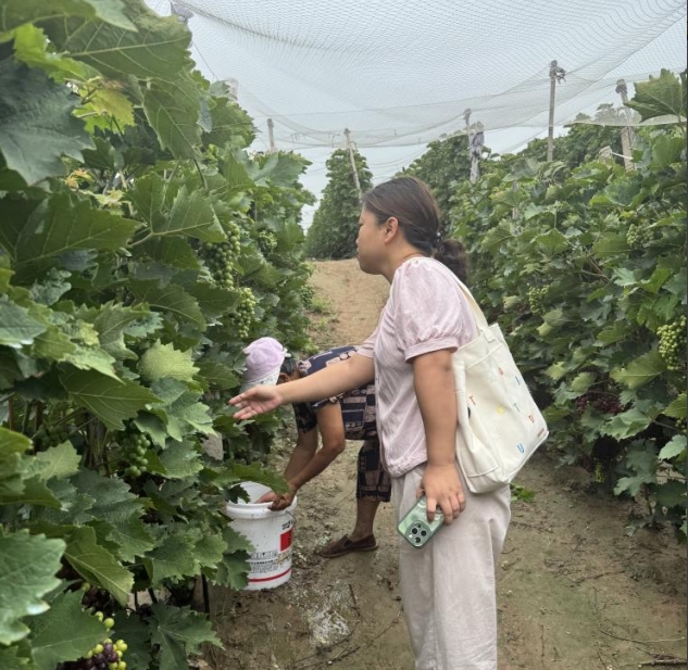 1754998176759230.jpg 1754998176759230.jpg