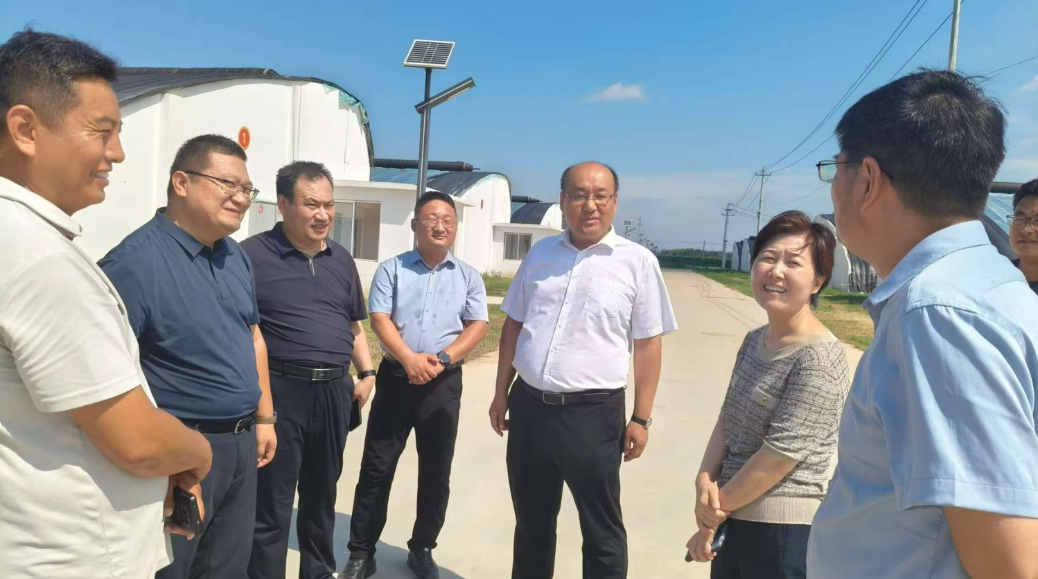 1756201053931385.jpg 1756201053931385.jpg