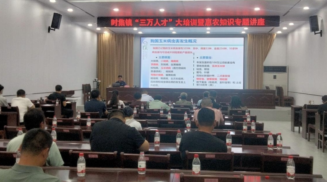 1757314084791348.jpg 1757314084791348.jpg