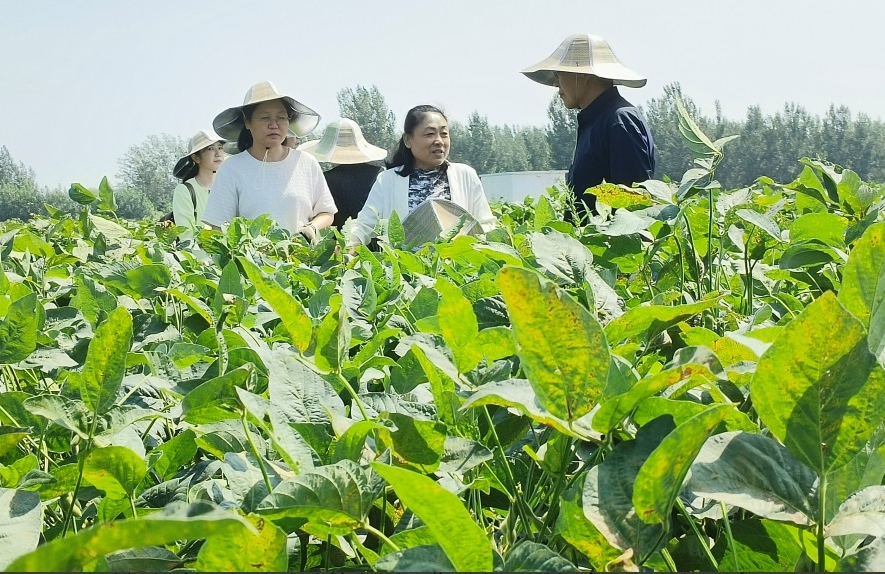 1757665192974052.jpg 1757665192974052.jpg