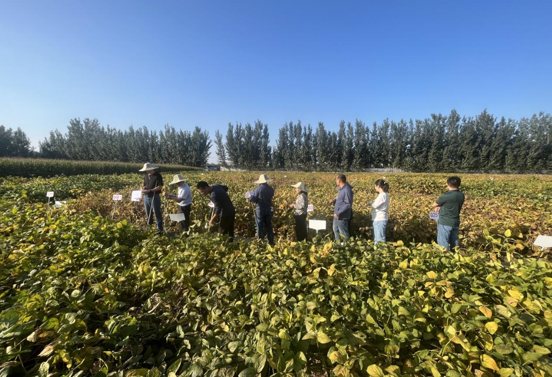 1758874654206940.jpg 1758874654206940.jpg