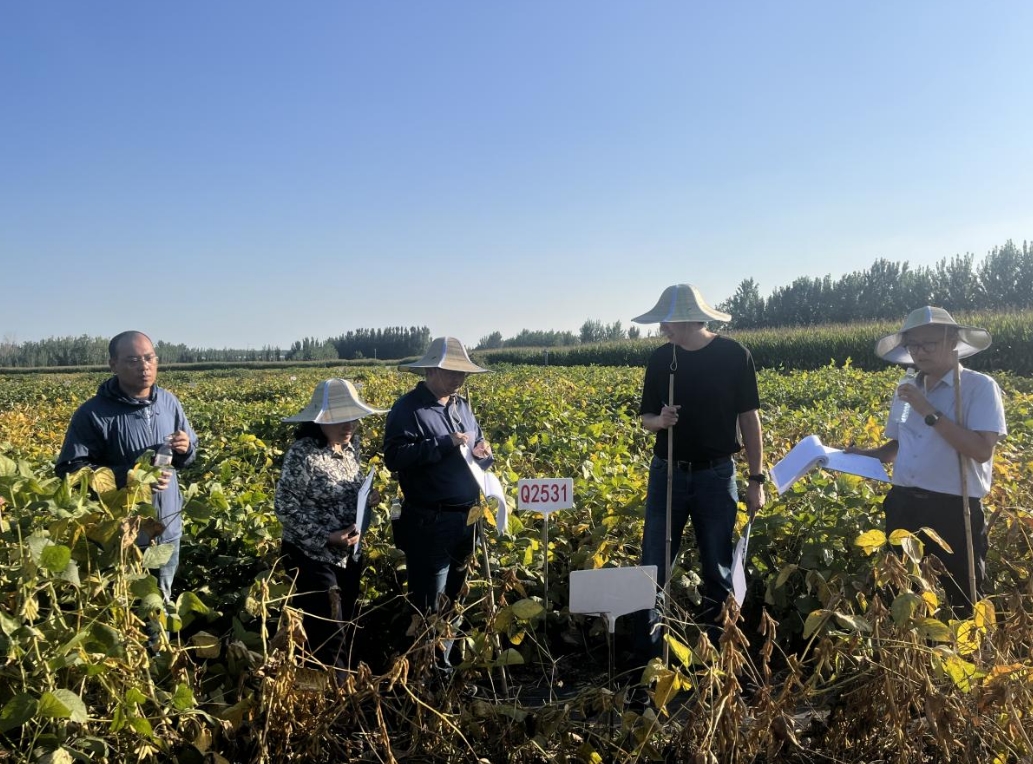 1758874731123071.jpg 1758874731123071.jpg